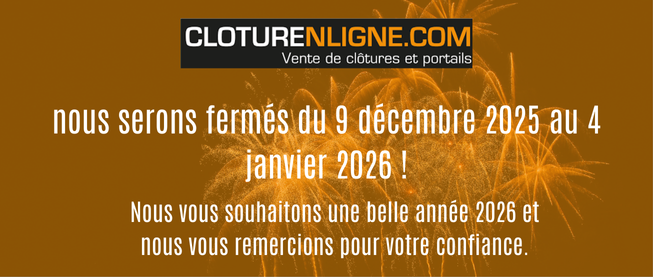 Copie de CV professionnel noir simple (4)